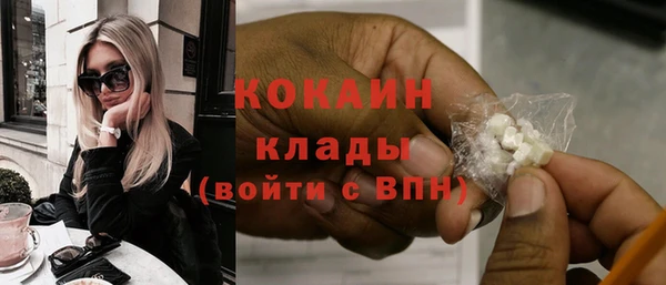 индика Осинники