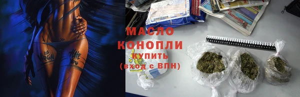 индика Осинники