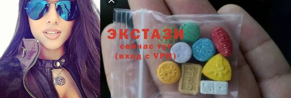 индика Осинники