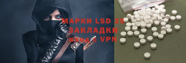индика Осинники