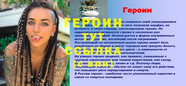 индика Осинники