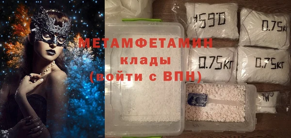 индика Осинники