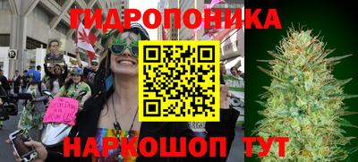 марки lsd Гусиноозёрск